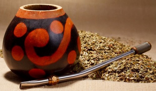Чай Мате: польза и вред для здоровья