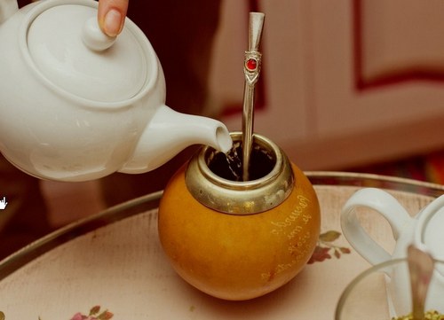 Чай Мате: польза и вред для здоровья